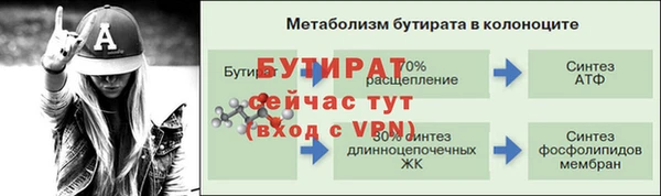 ПСИЛОЦИБИНОВЫЕ ГРИБЫ Богданович